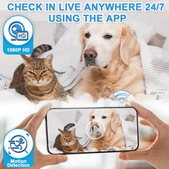 HSKAH WiFi Pet Camera Charger app view allows real-time video on mobile.