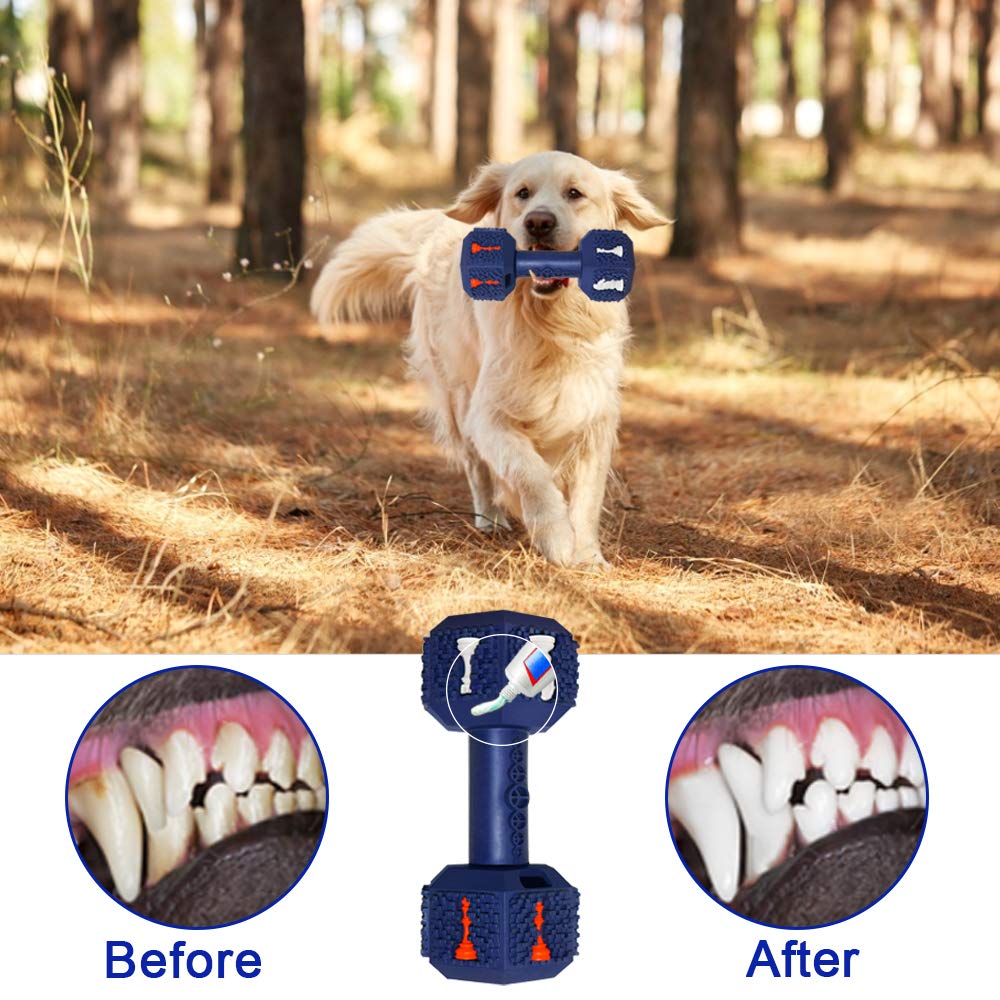 Hswaye dental dog toy blue with 3D particles for fresh breath and gum stimulation.