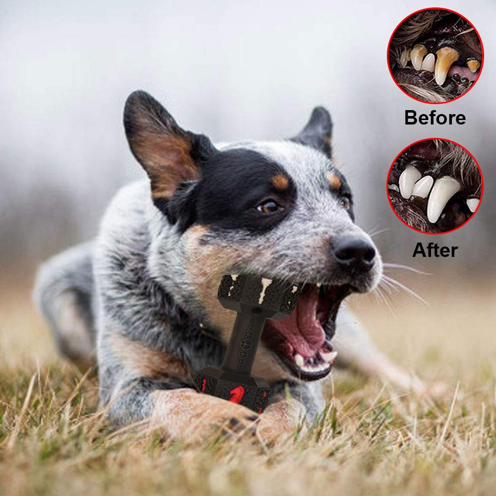 Hswaye dog chew toy in use during fetch to reduce boredom.