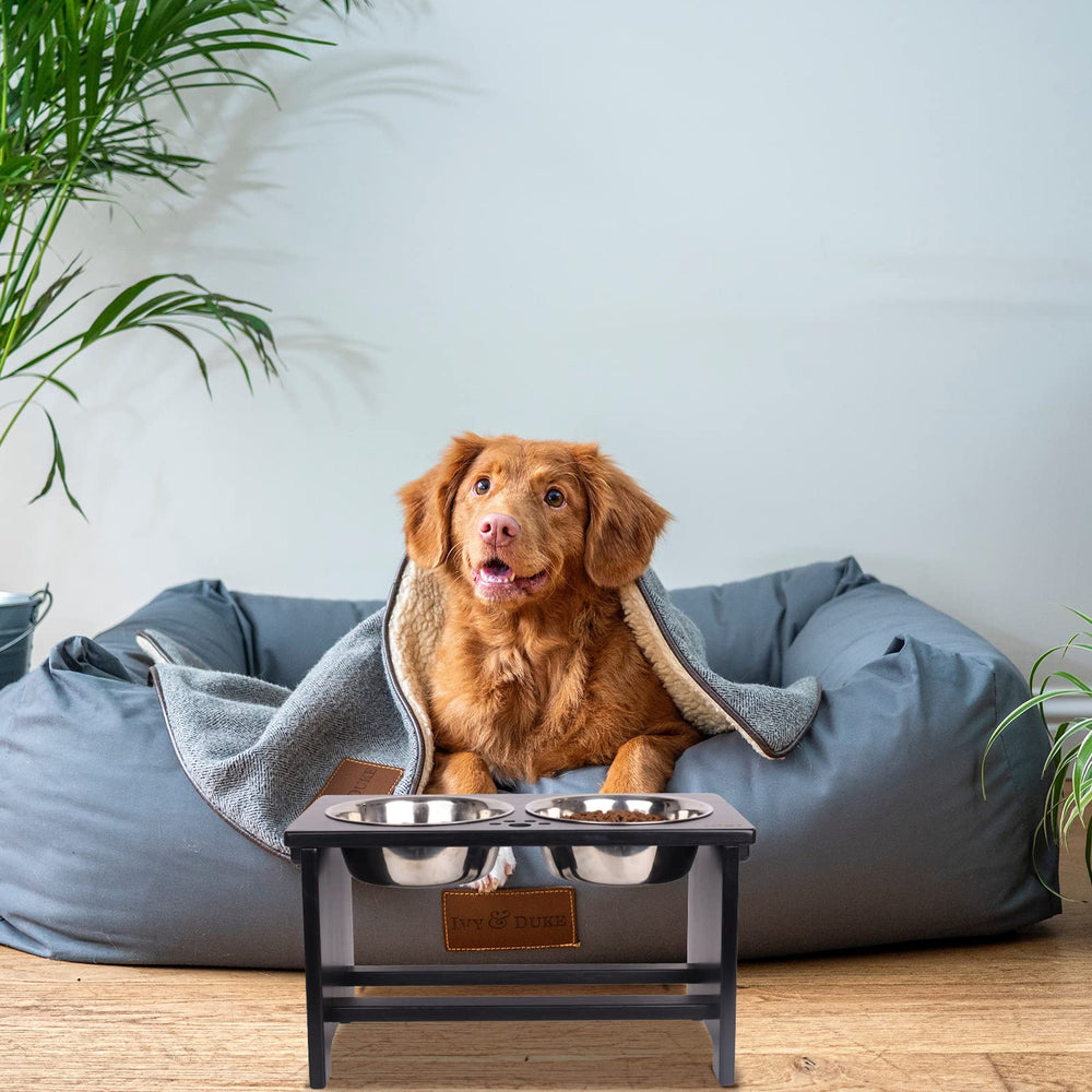 HTB elevated dog bowls for small dogs fits compact spaces