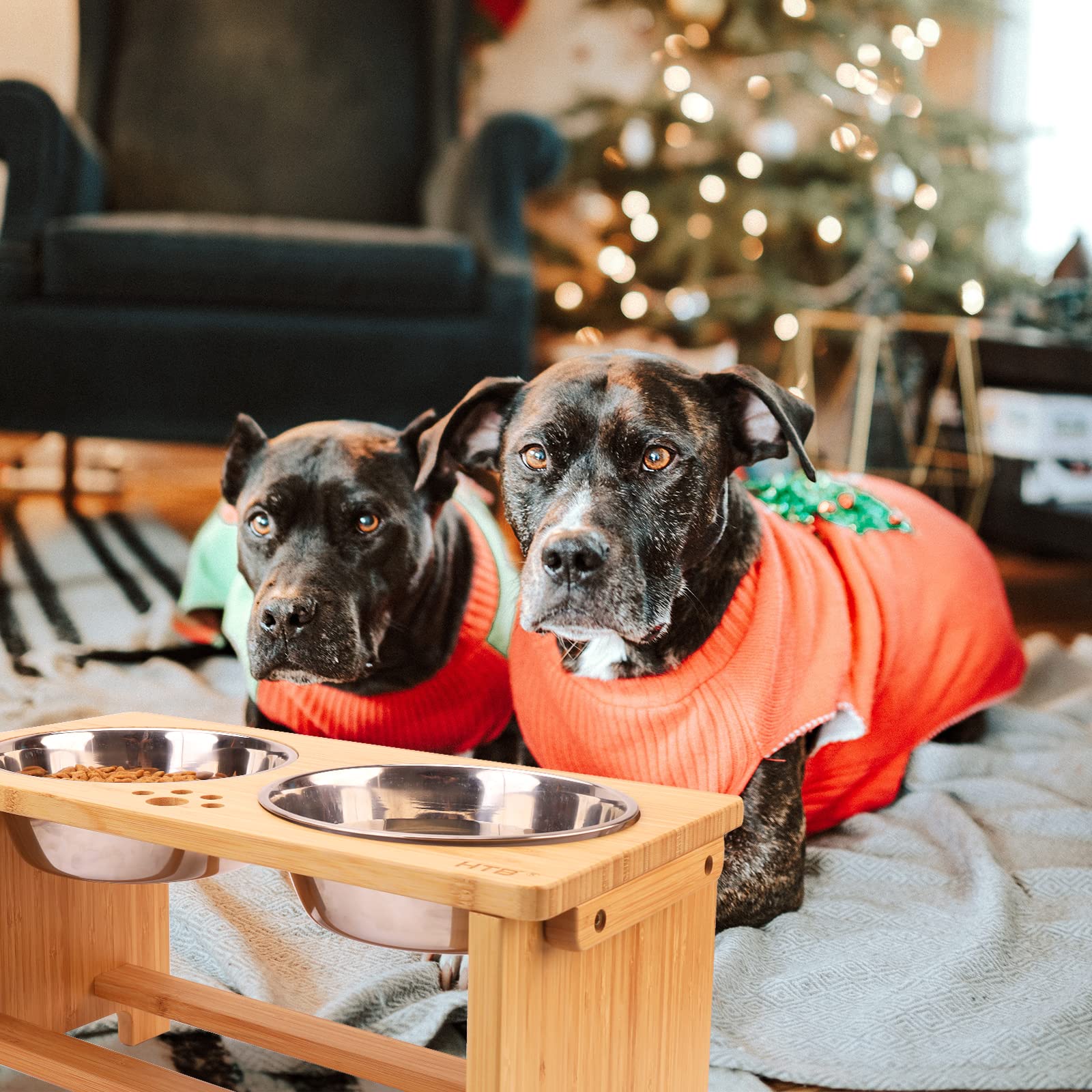HTB Elevated Dog Bowls three colors option image to match home decor.