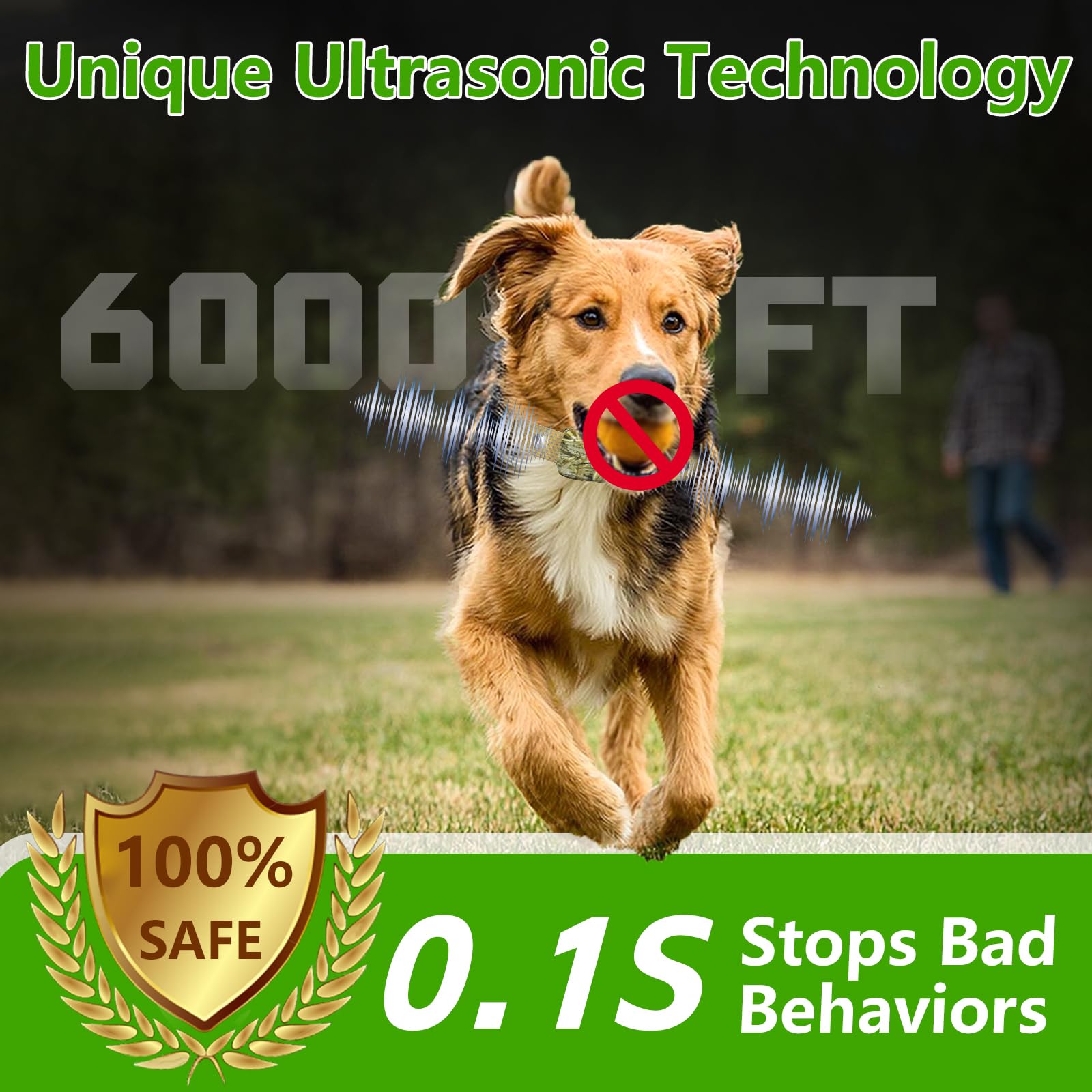 HTCUTO waterproof collar on dog ready for beach or rain training