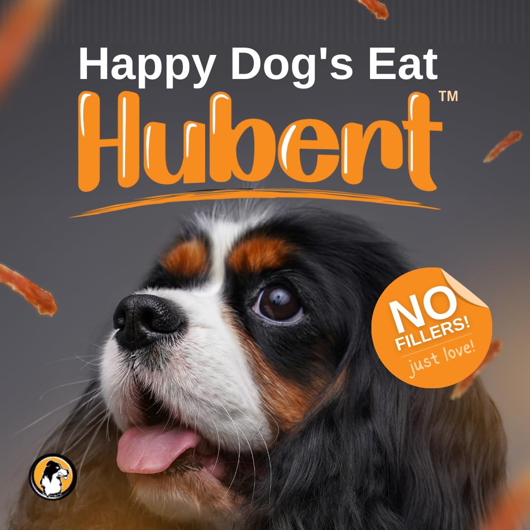 Small dog excited after tasting Hubert Premium Duck Wraps during playtime.