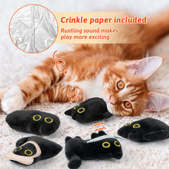 HubirdSall catnip toy with crinkle paper engages curious cats during interactive playtime.