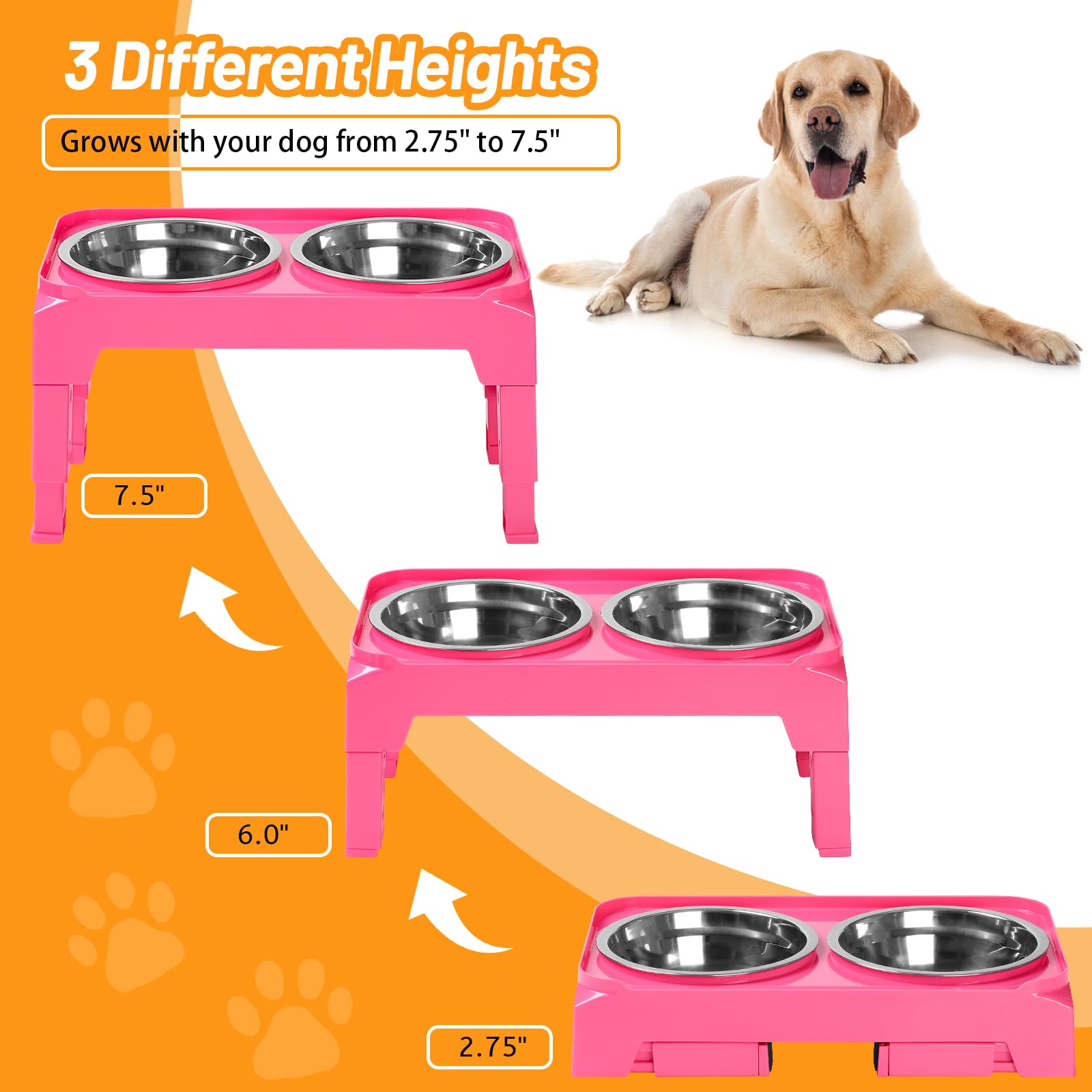 Hubulk three height adjustable stand supports ergonomic feeding as dogs grow.