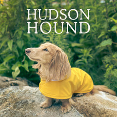 Hudson Hound dachshund raincoat harness-access view for harness-friendly wear.