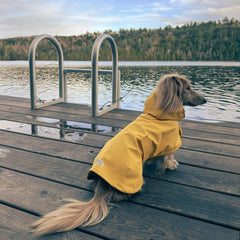 Hudson Hound dachshund raincoat side view showing long-back coverage for dachshunds.