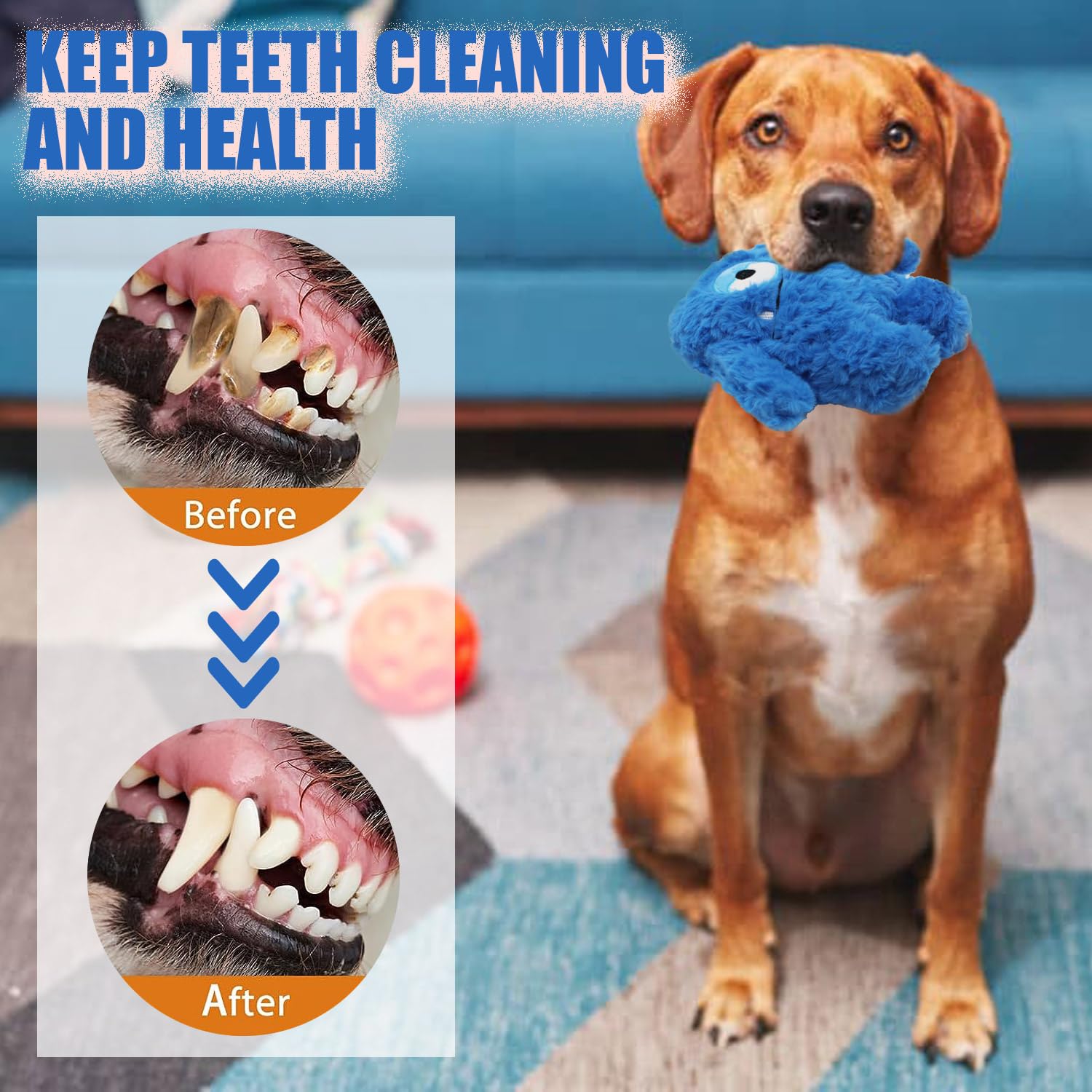 HUGEME Plush Squeaky Toy blue dog-chewing action demonstrates chew-friendly design.
