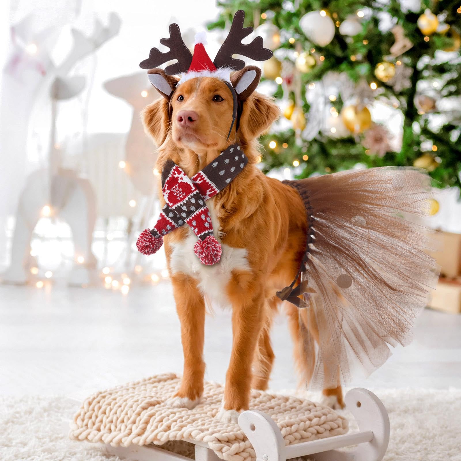 Huhumy dog costume packaging highlights gift-ready holiday presentation.