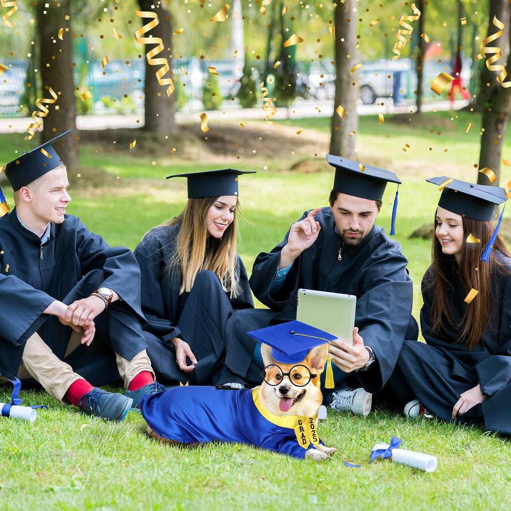 Huhumy pet graduation photo setup for memorable pictures