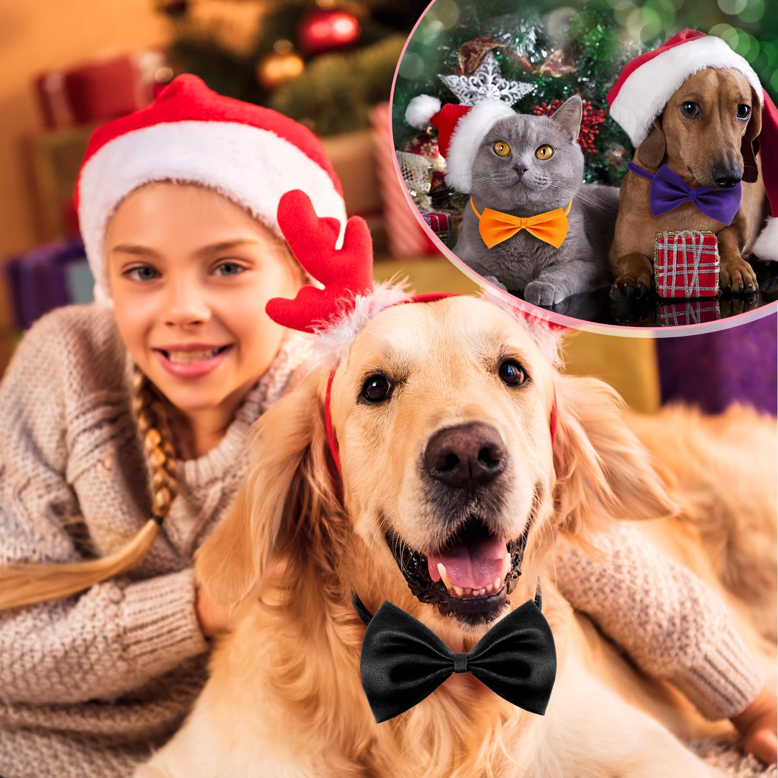 Huhumy dog bow ties worn at celebrations and photos.