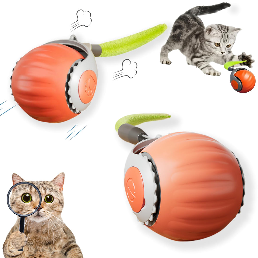 HuiCheDaWa Speedy Tail 2.0 ball closeup showing durable design and engaging action