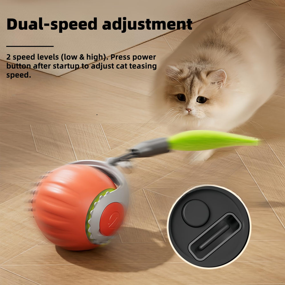 HuiCheDaWa Speedy Tail 2.0 bell-tail feature visible for audible attraction