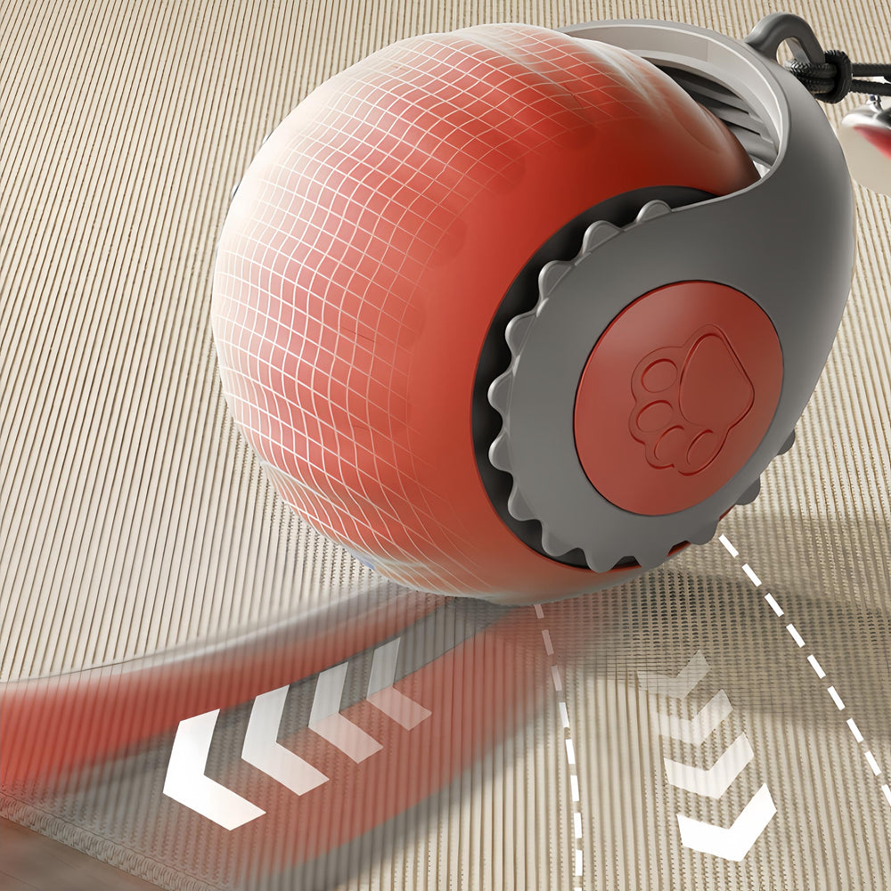 HuiCheDaWa Speedy Tail 2.0 dual modes button and easy switching