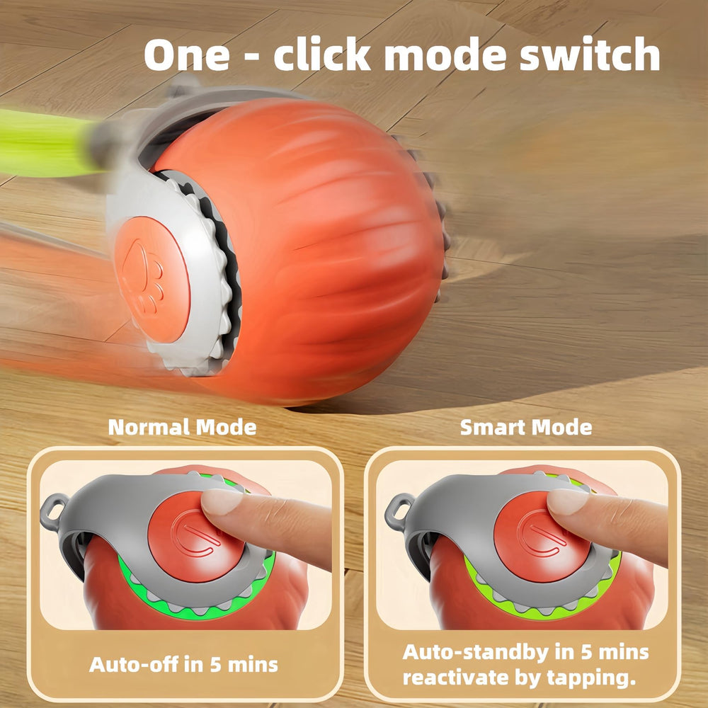 HuiCheDaWa Speedy Tail 2.0 indoors, ideal for solo play and chasing