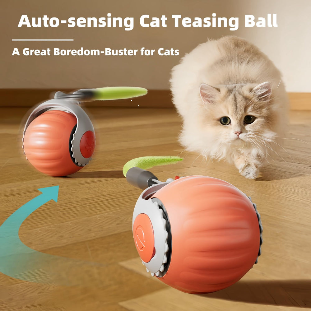 HuiCheDaWa Speedy Tail 2.0 in action demonstrates responsive play and movement