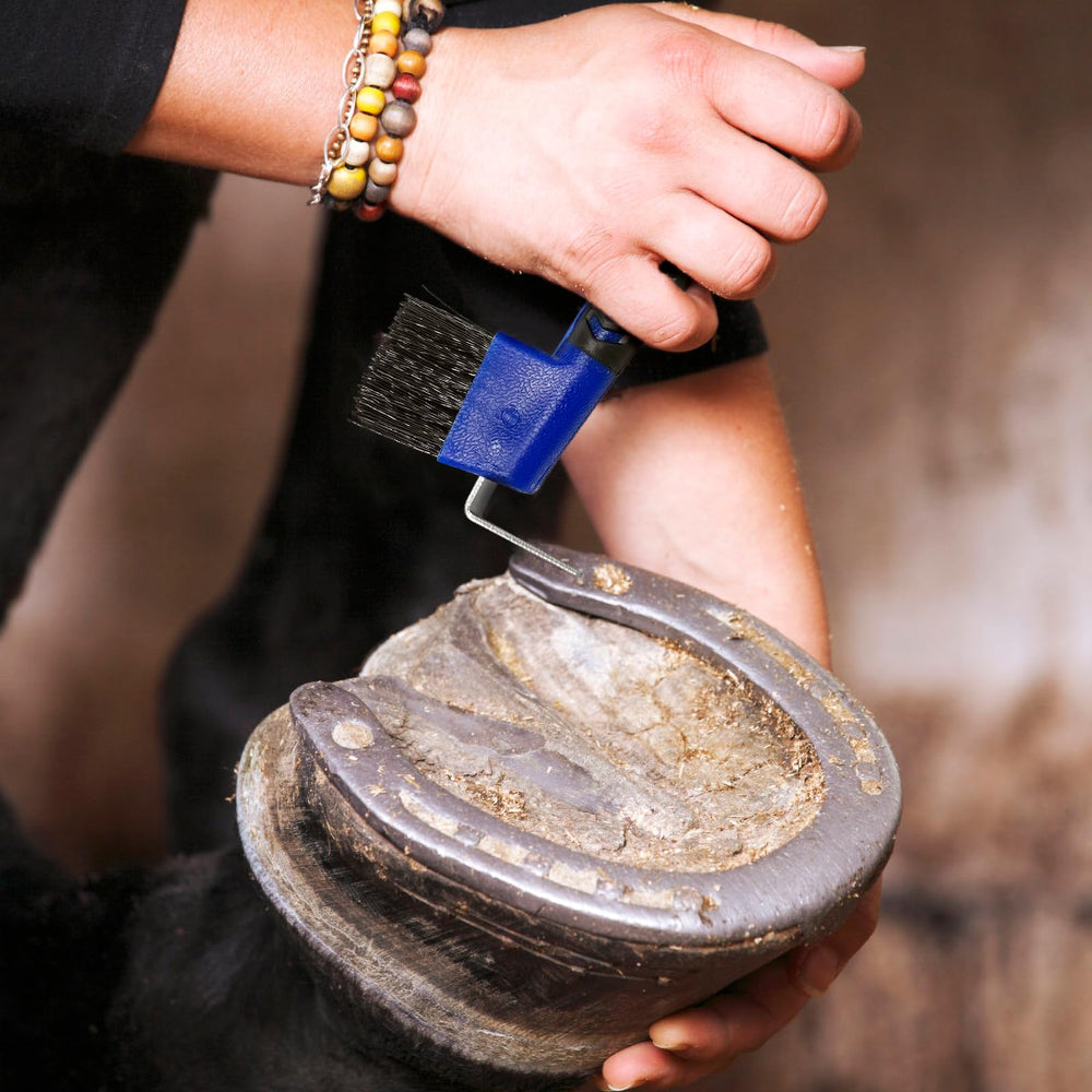 Huimpet 8 inch farrier toolkit in use at stable for efficiency
