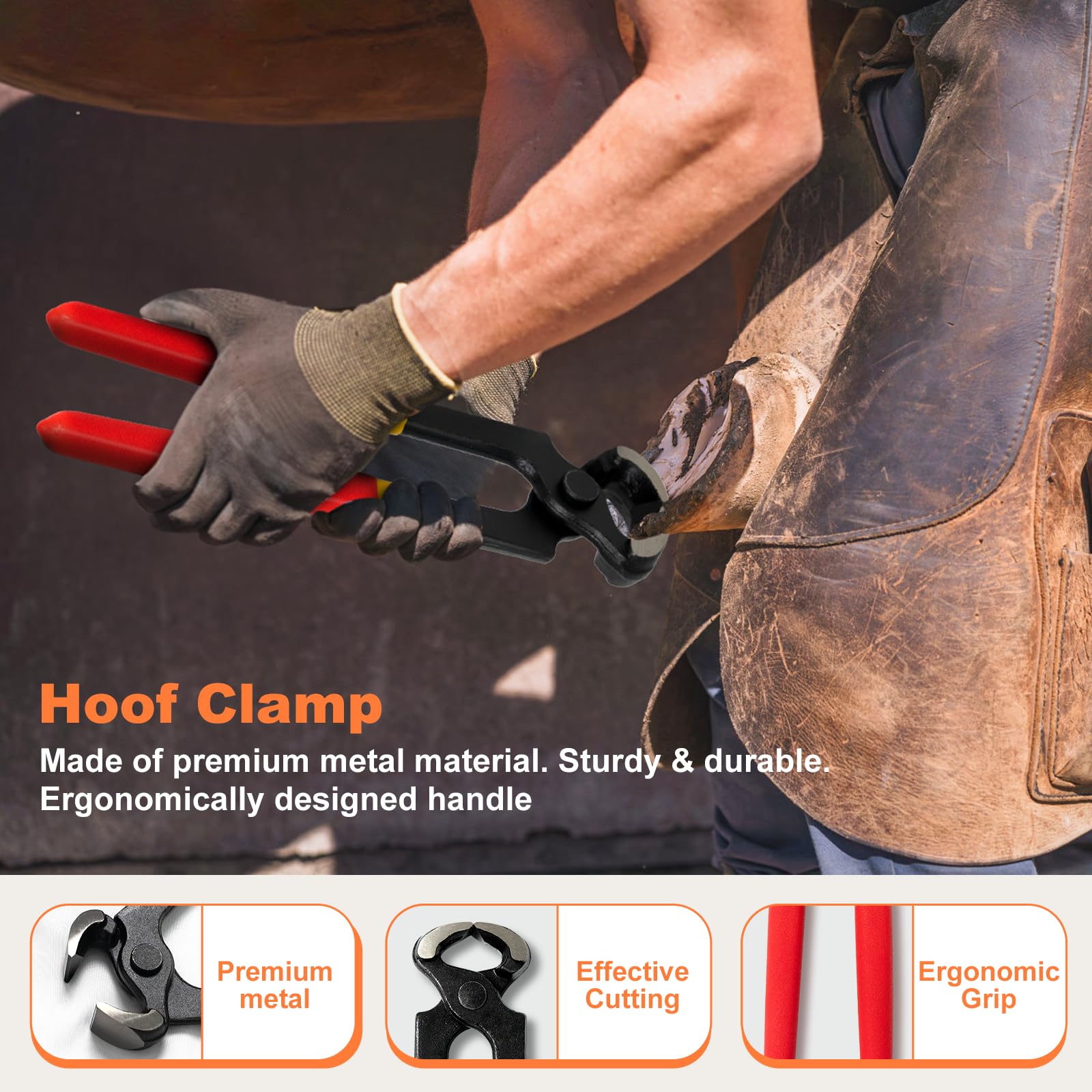 Huimpet rasp close-up showing durable metal finish for hoof shaping