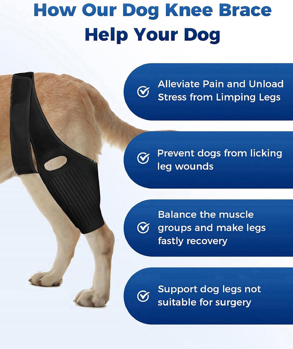 Huimpet Dog Knee Brace adjustment system enables easy sizing and closure.