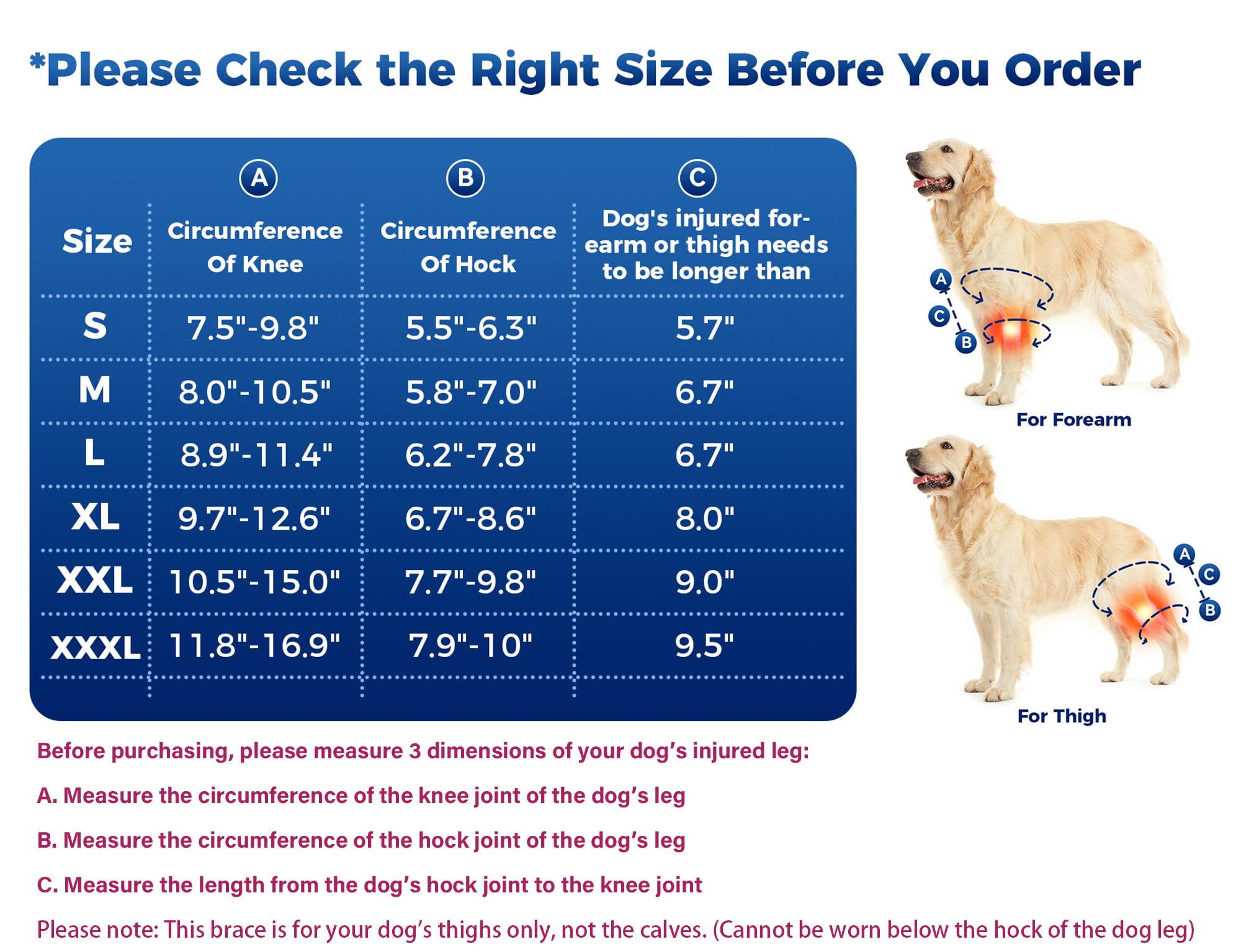Huimpet Dog Knee Brace back view highlights coverage and support.