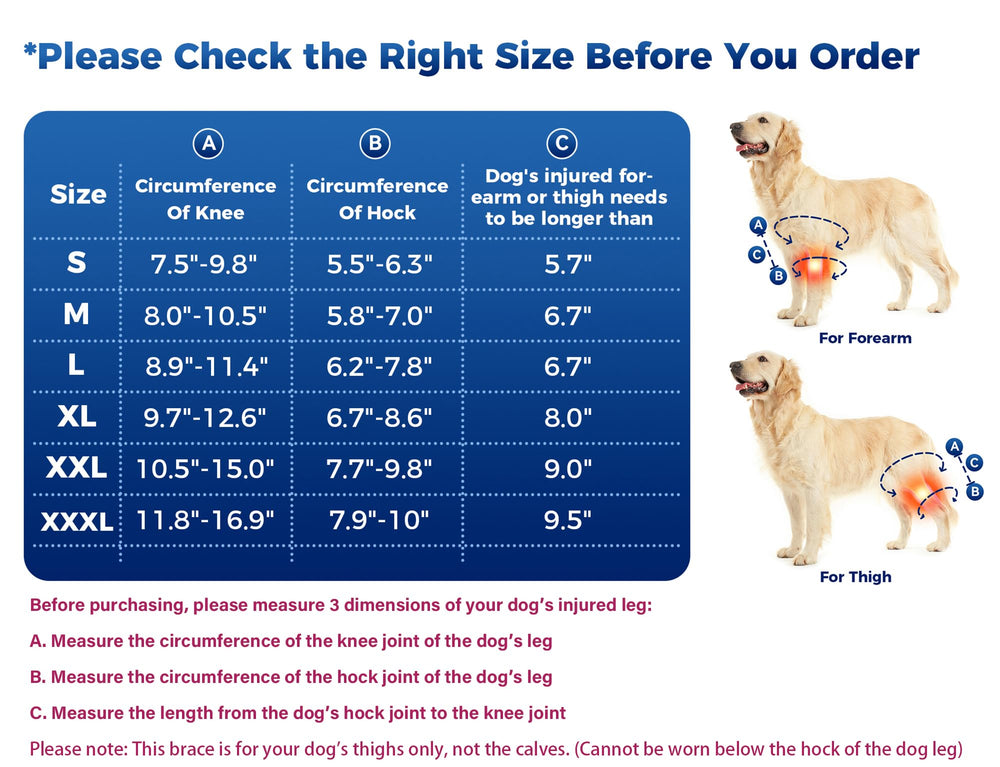 Huimpet Dog Knee Brace back view highlights coverage and support.