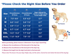 Huimpet Dog Knee Brace back view highlights coverage and support.