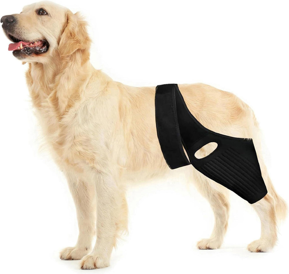Huimpet Dog Knee Brace front view shows knee support for ACL and joints.