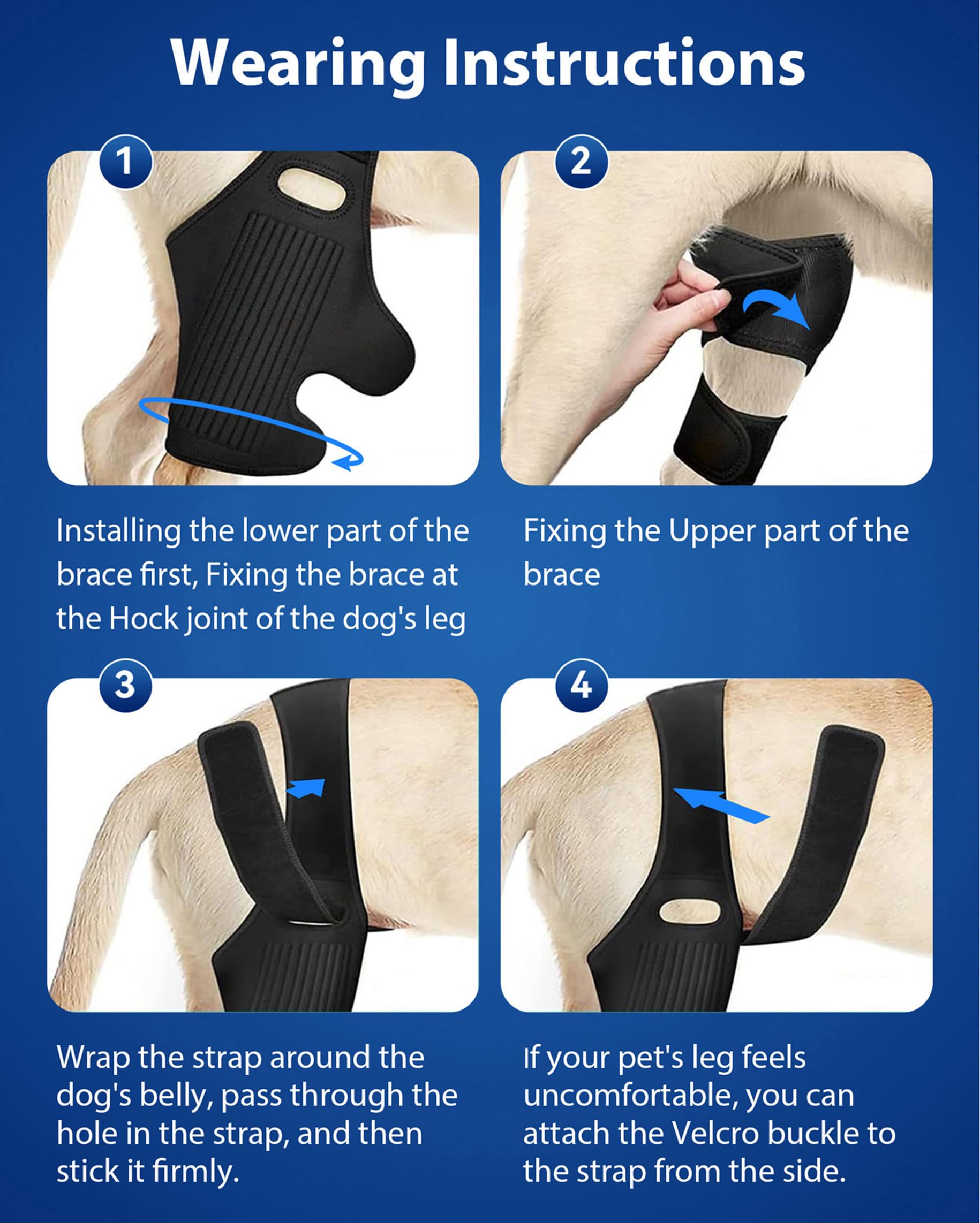 Huimpet Dog Knee Brace in use during light activity shows mobility aid.