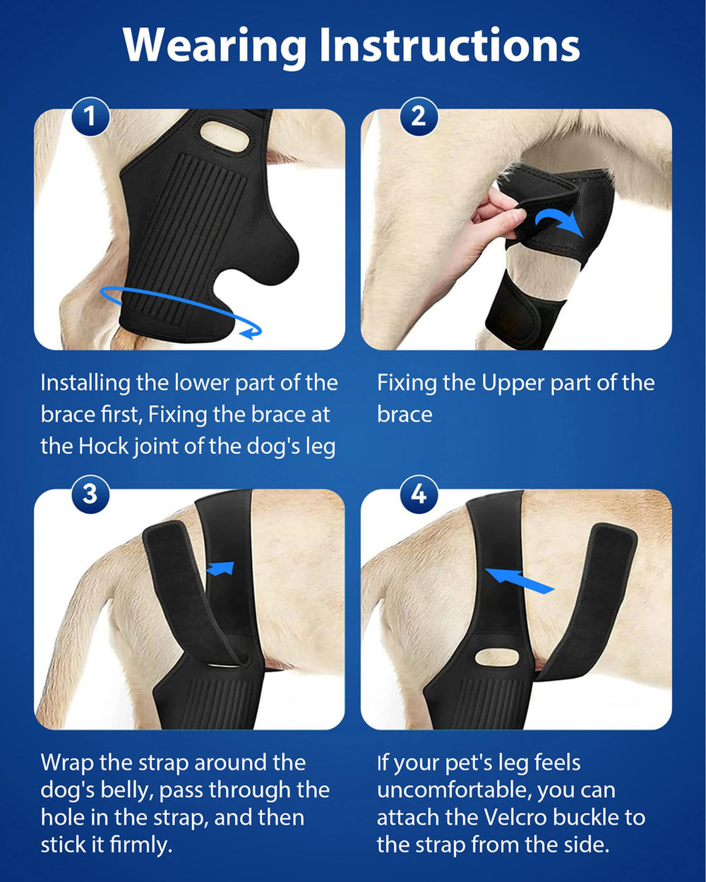 Huimpet Dog Knee Brace in use during light activity shows mobility aid.