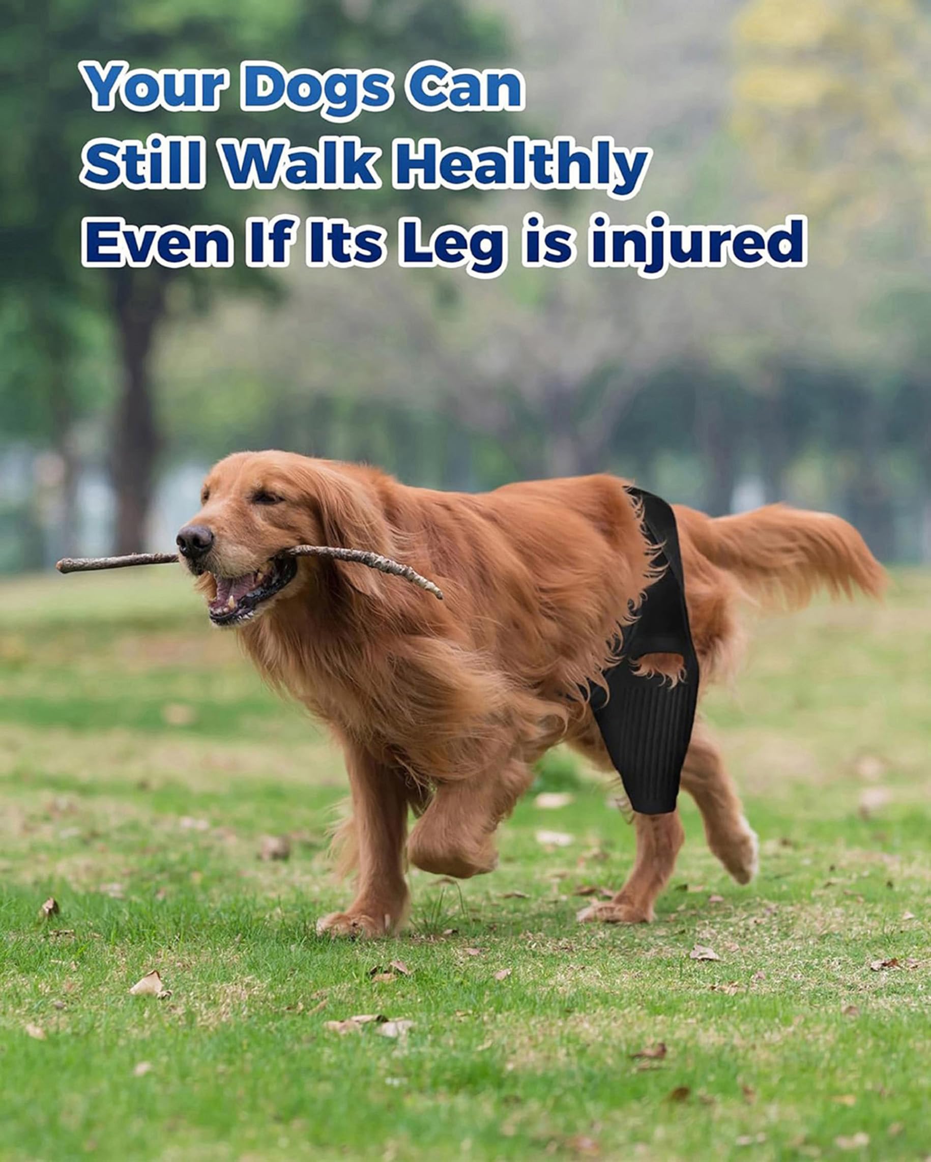 Huimpet Dog Knee Brace side strap demonstrates secure fit for leg stability.