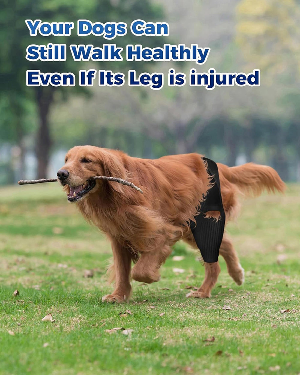 Huimpet Dog Knee Brace side strap demonstrates secure fit for leg stability.