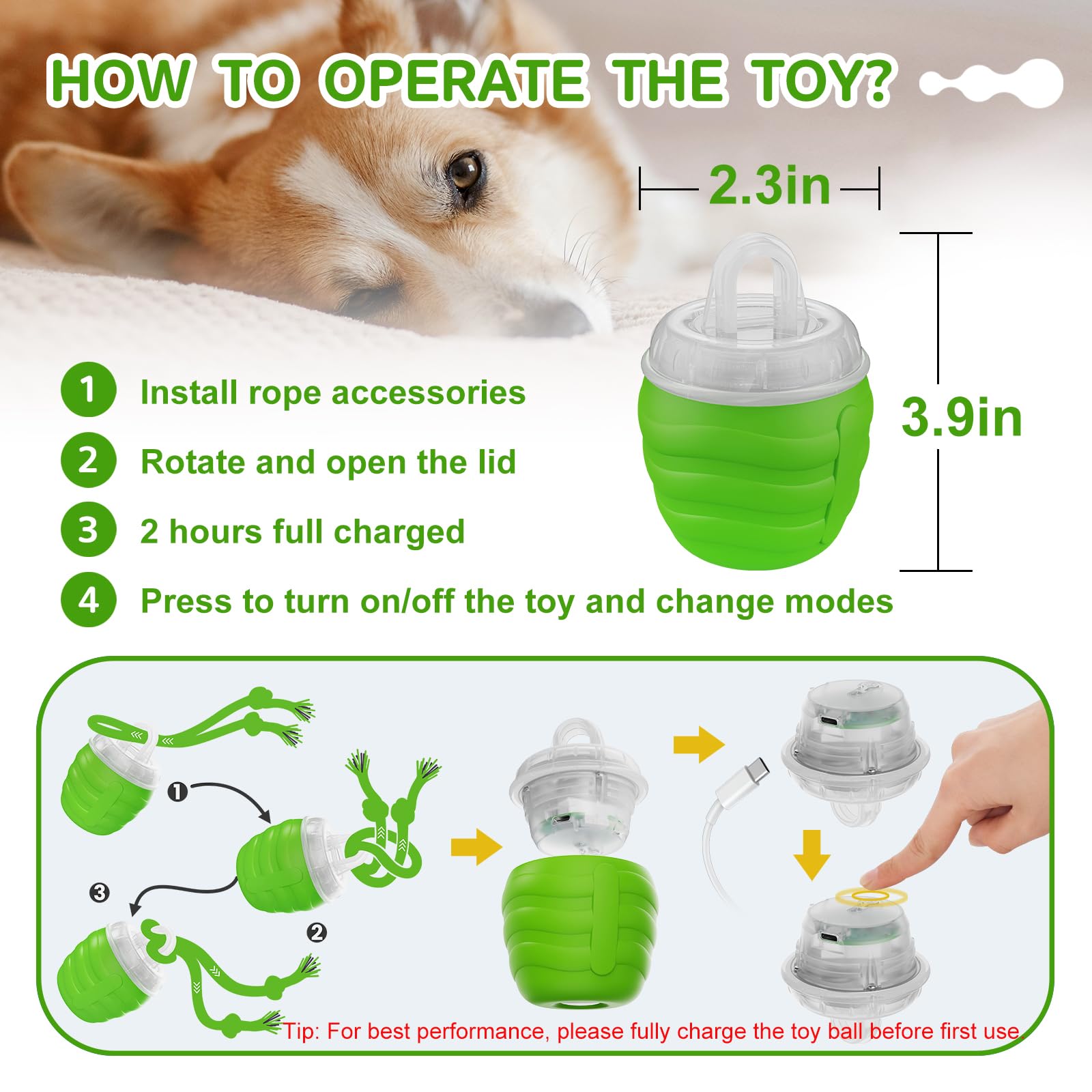Huimpet dog enjoying ball, showcasing active, engaging playtime