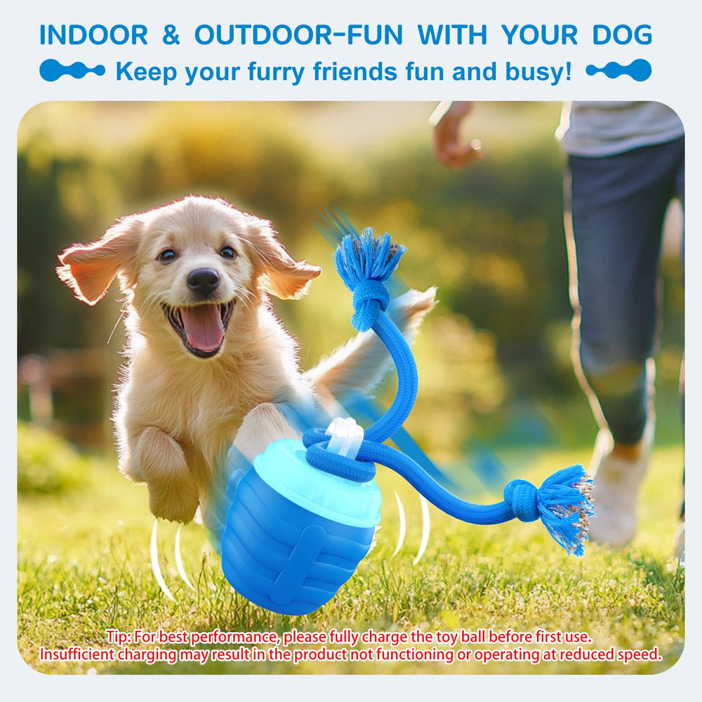 Huimpet interactive dog ball blue rope attachment for tug-and-play sessions