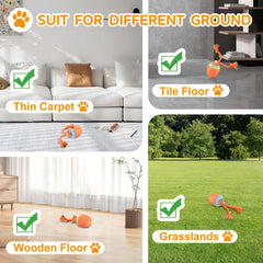 Huimpet interactive dog ball orange blue mode for fast exercise.