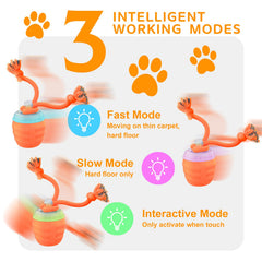 Huimpet interactive dog ball orange charging port ready for USB-C recharge.