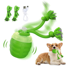 Huimpet motion-activated ball front view for engaging play and chasing energy