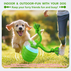 Huimpet ball rope-attachment image showing interactive tug-and-chase play