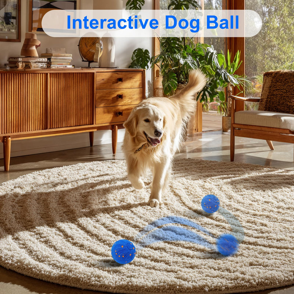 Huimpet Wicked Balls blue in motion demonstrating automatic movement