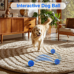 Huimpet Wicked Balls blue in motion demonstrating automatic movement