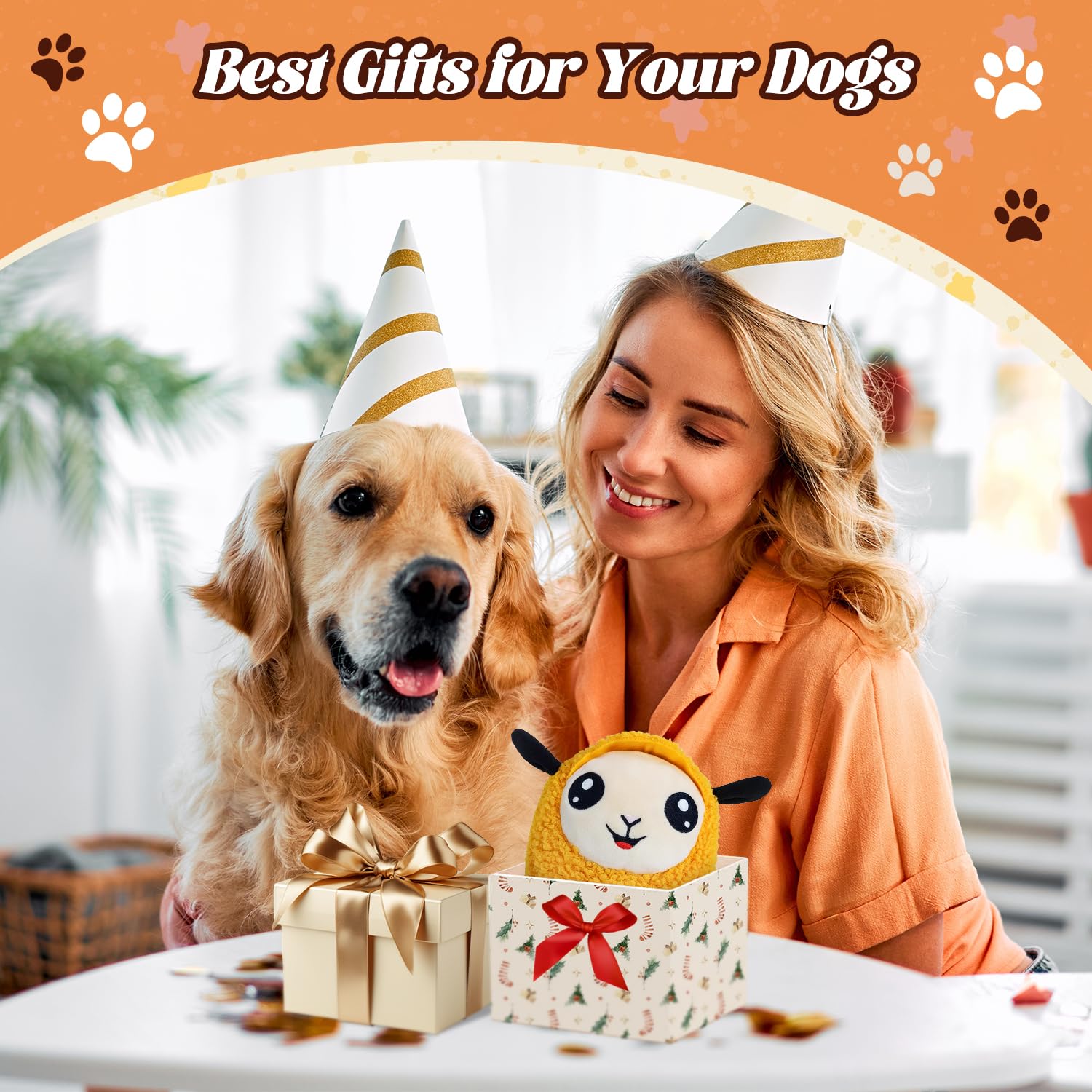 Huimpet indoor-outdoor toy example shows safe, interactive entertainment