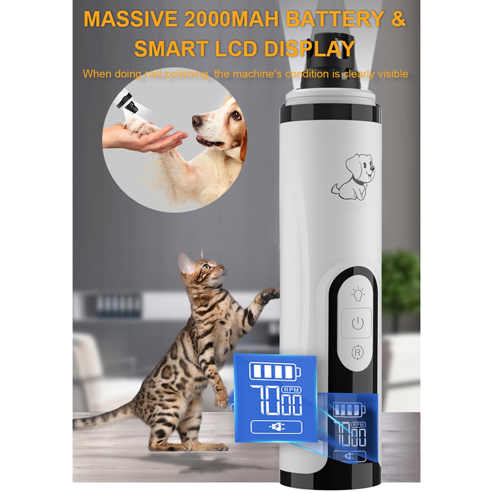 Huiteng XR cordless mobile grooming setup in use