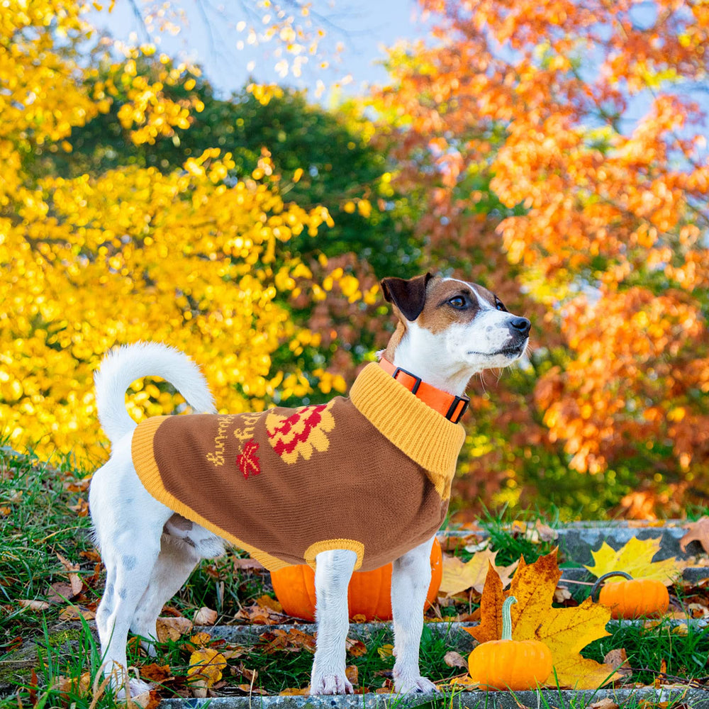 HUMLANJ Happy Thanksgiving letters add a festive touch for family gatherings.