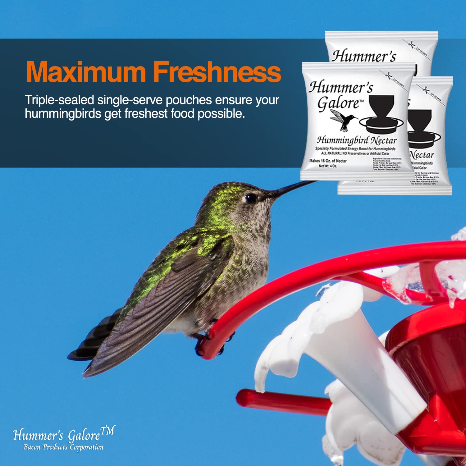 Hummers Galore natural preservative-free nectar for backyard birds