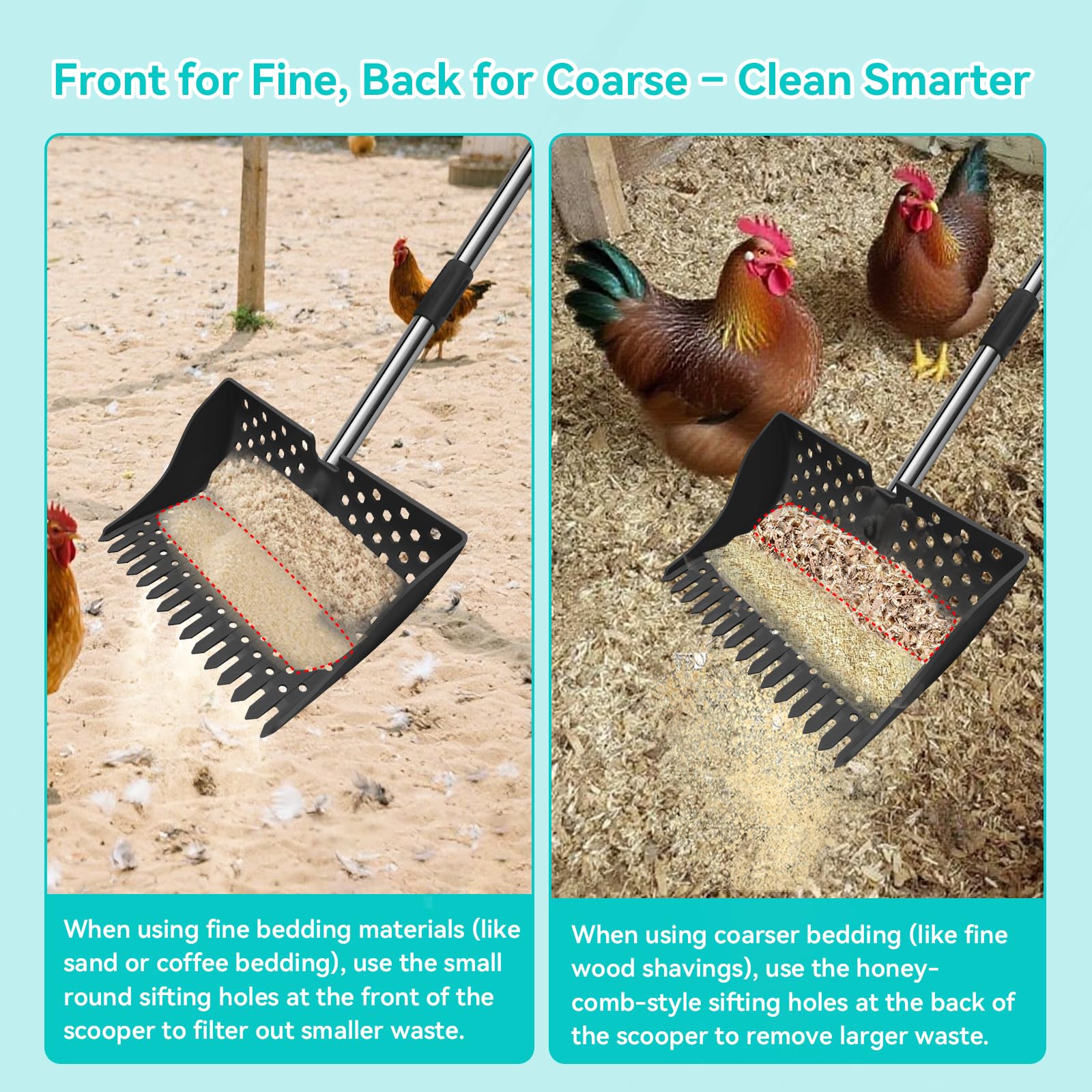 HUMUMU beach-sand-sifter demonstrates off-coop use to separate shells from sand.