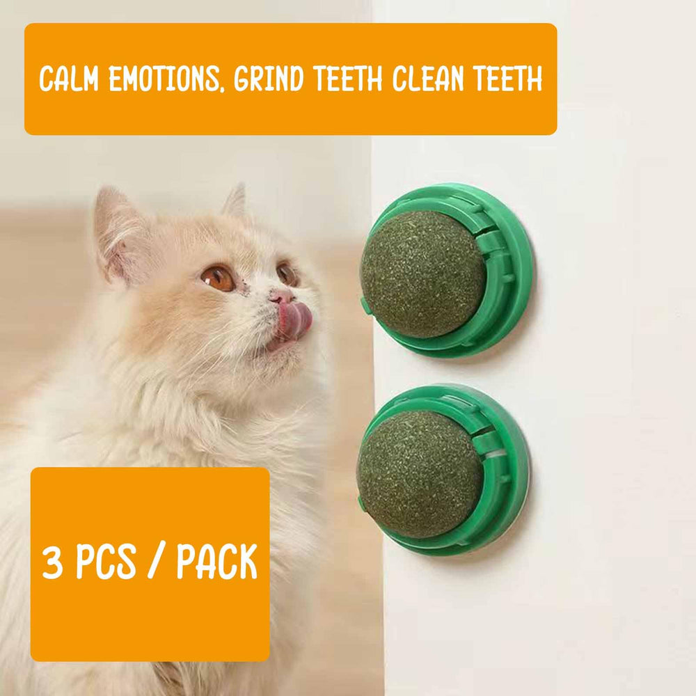 humyeam catnip balls kitty playtime shows kittens enjoying flavors for enrichment