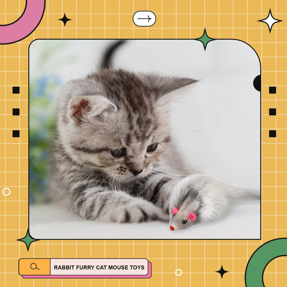 Hungdao 60-piece packaging keeps toys organized for multiple cats