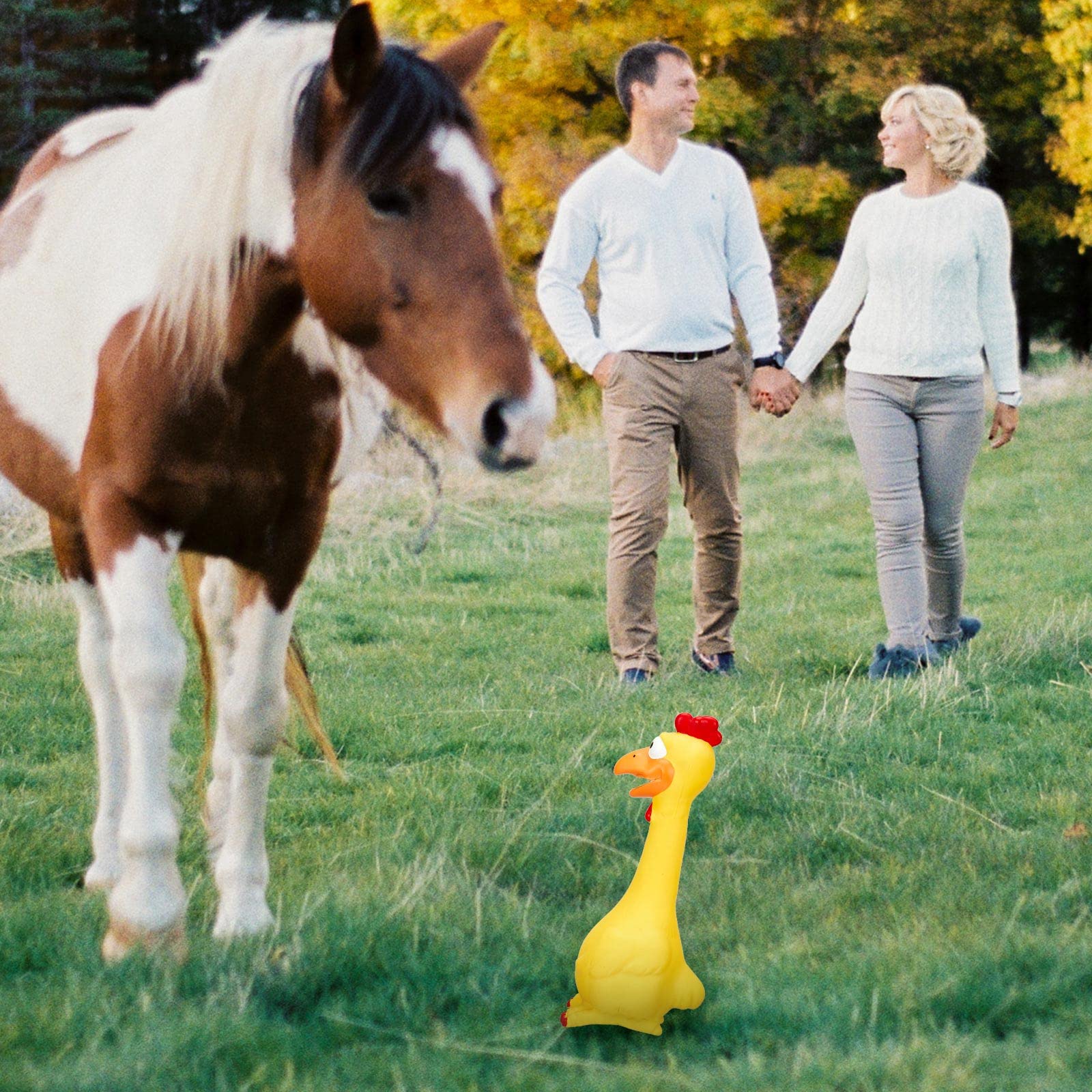 Hungdao squeaky chicken horse toy yellow front view highlights vibrant design for play.
