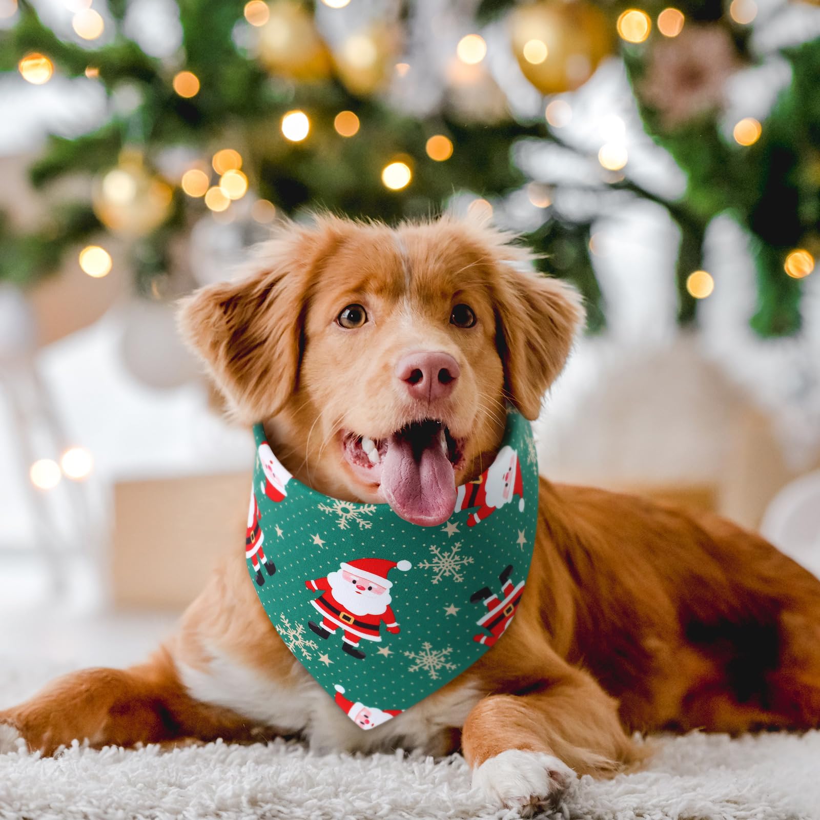 HunnmingRe gift-ready dog bandanas set for holiday gifting