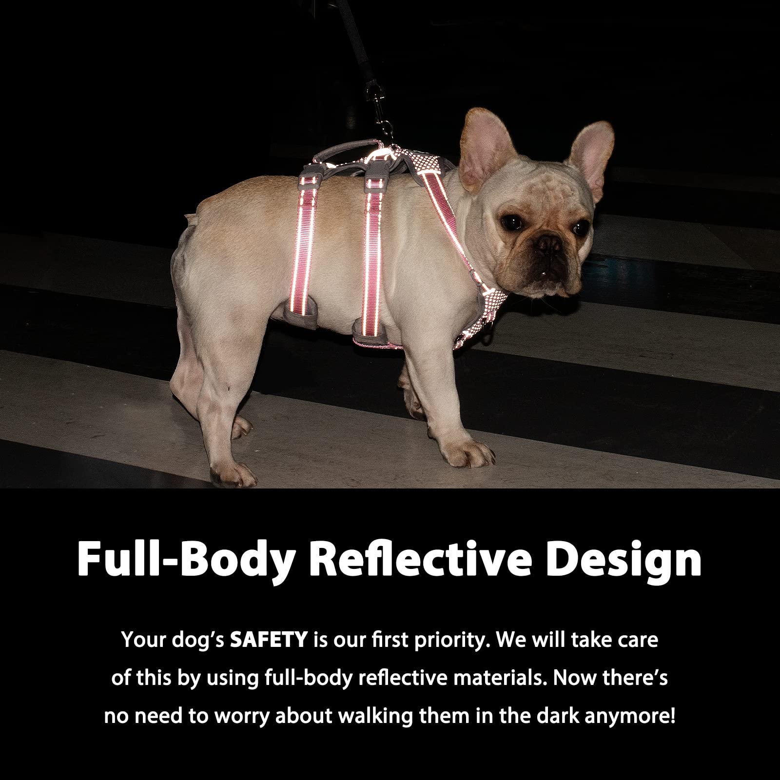 Huntboo adjustable five-point fit harness ensures snug, growing-with-dog fit