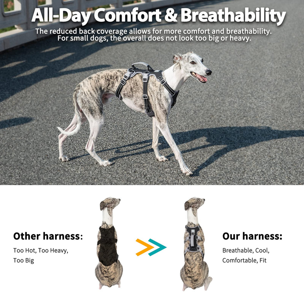 Huntboo breathable air mesh padding keeps dogs comfy on longer strolls